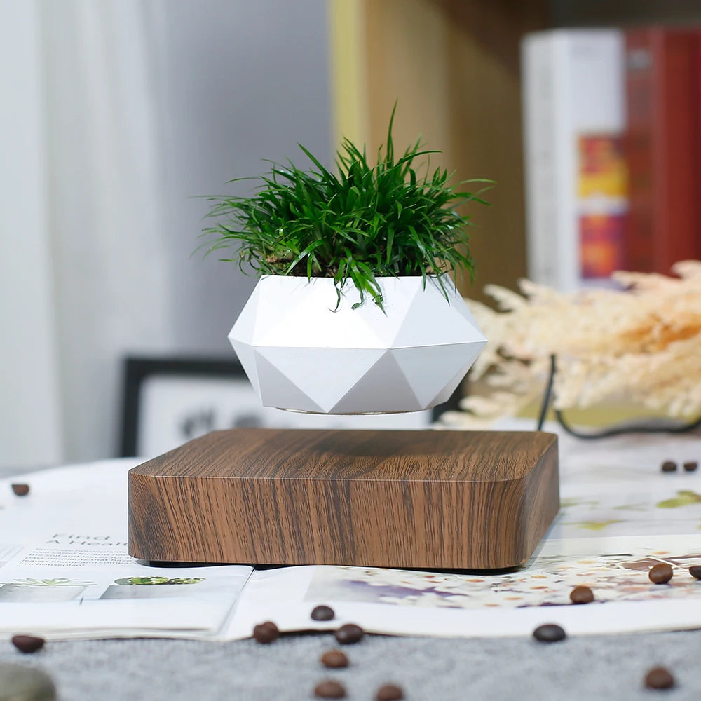 Levitating Plant Pot Floating Plant Magnetic Levitation