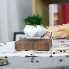 Levitating Plant Pot Floating Plant Magnetic Levitation