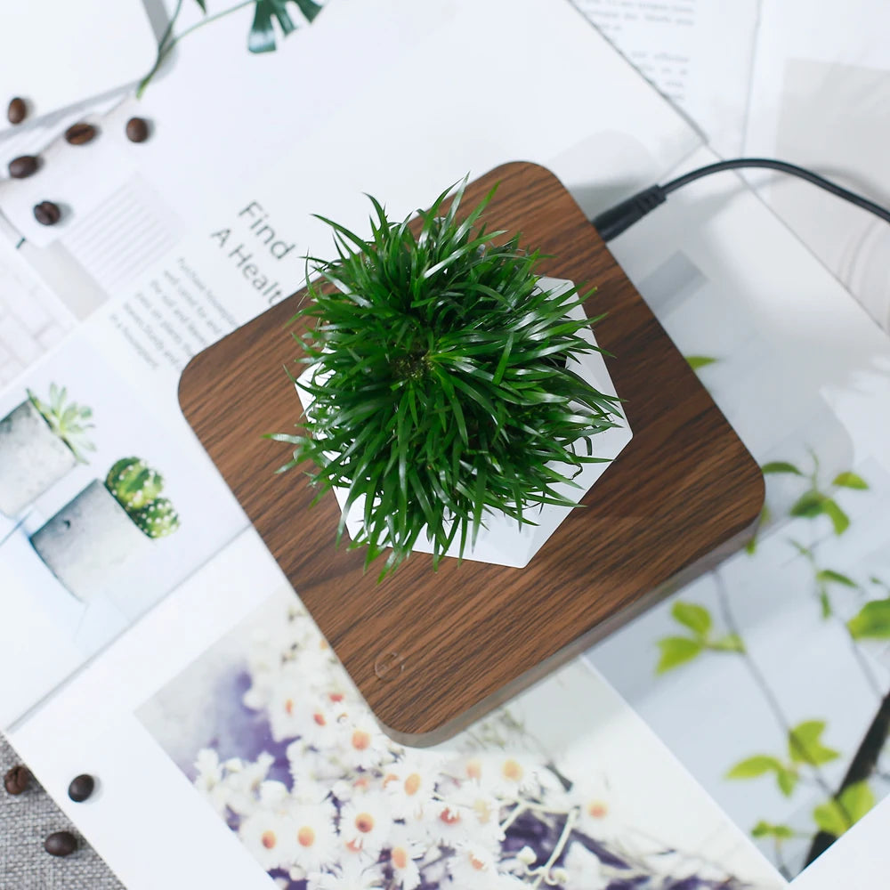 Levitating Plant Pot Floating Plant Magnetic Levitation