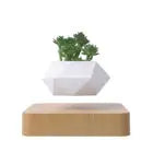 Levitating Plant Pot Floating Plant Magnetic Levitation
