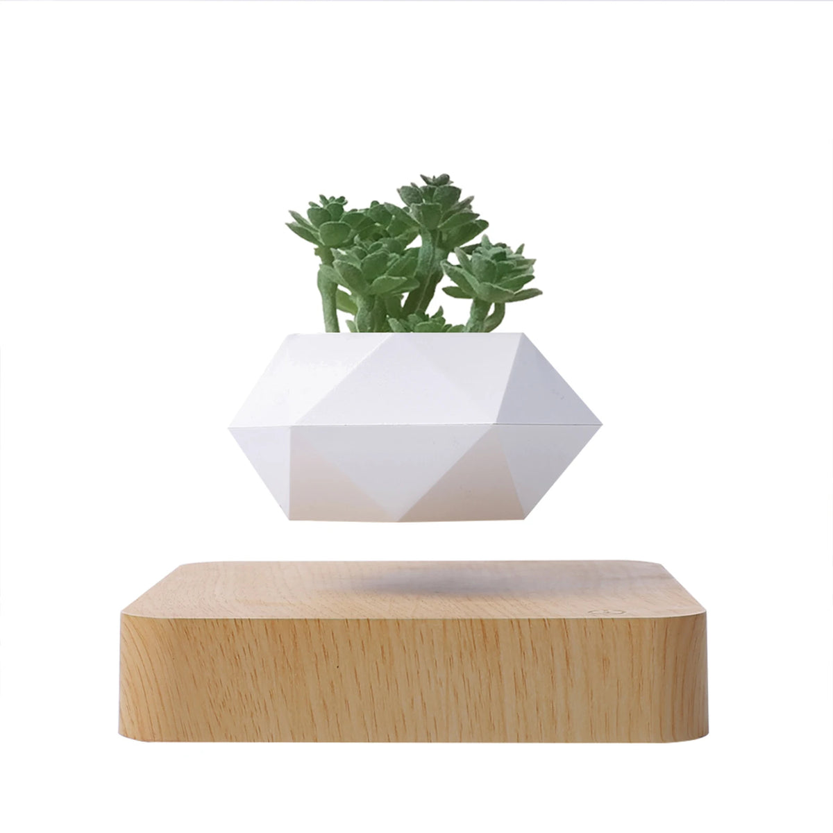 Levitating Plant Pot Floating Plant Magnetic Levitation